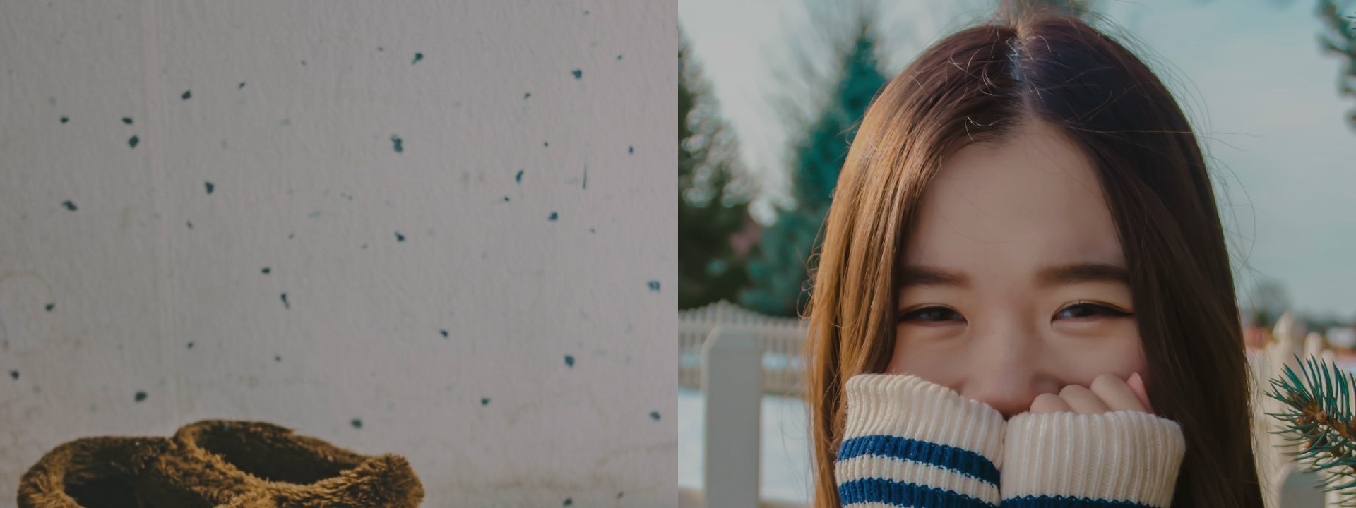 클로그 내피